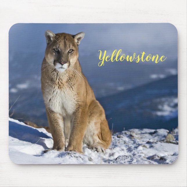 Mouse Pad-Yellowstone Mountain Lion Pad (Front)