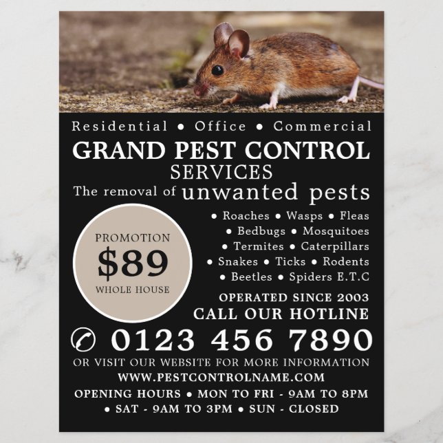 Mouse, Pest Control Advertising Flyer (Front)