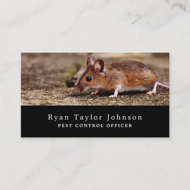Mouse, Pest Control Business Card (Front)