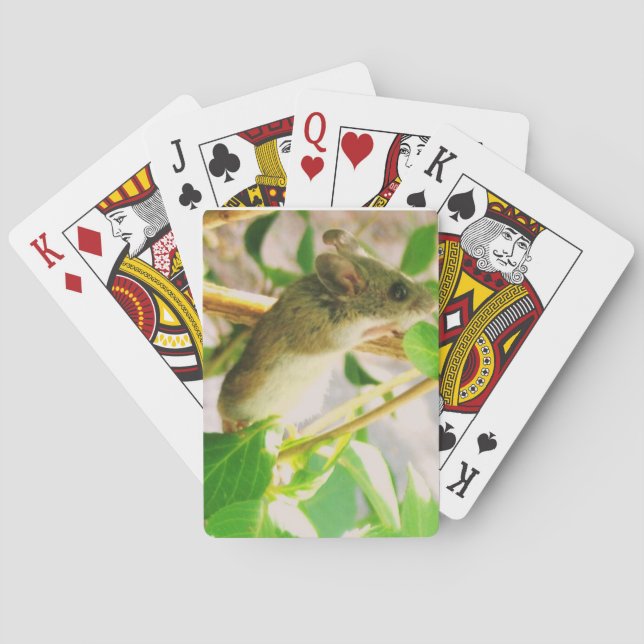 Mouse Playing Cards (Back)