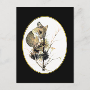 Mouse Postcard 2