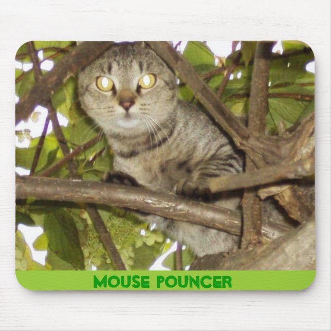 MOUSE POUNCER PAD (Front)
