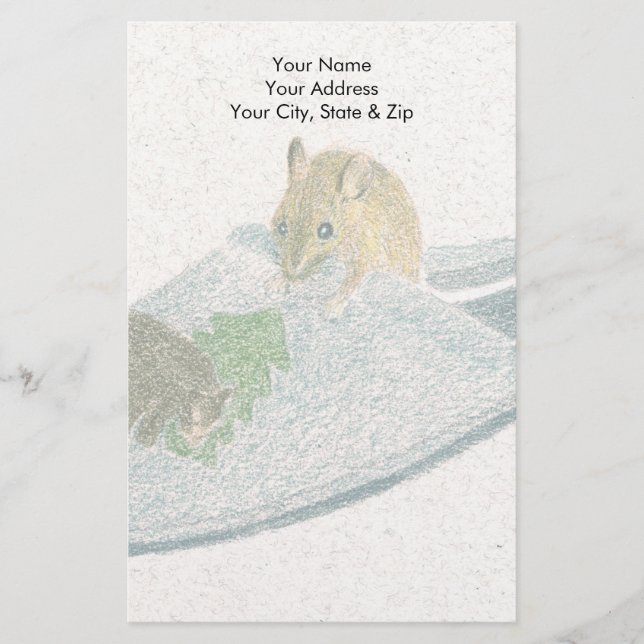 Mouse Slipper Stationery (Front)