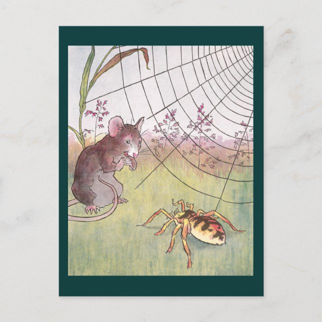 Mouse, Spider and Web in the Meadow Postcard (Front)