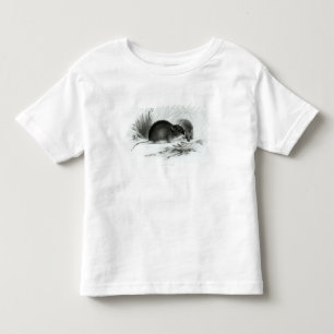 Mouse, Tierra del Fuego, South America c.1832-36 Toddler T-shirt