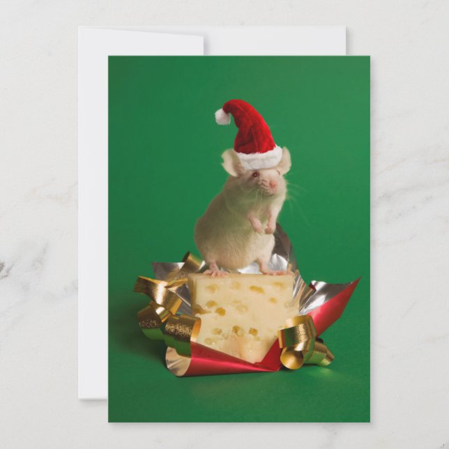 Mouse with Santa's hat with cheese Holiday Card (Front)