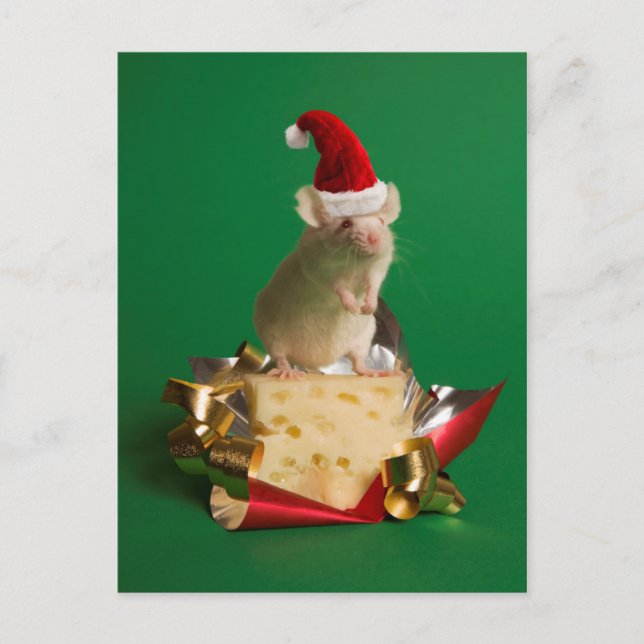 Mouse with Santa's hat with cheese Holiday Postcard (Front)