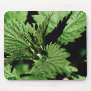 Mousemat Green Mint, Garden, Photo, Customizable Mouse Pad