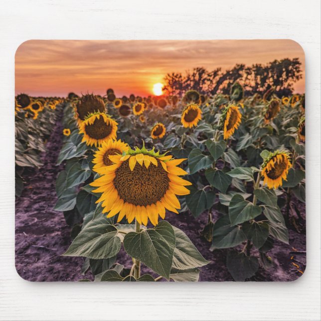 Mousepad (Front)