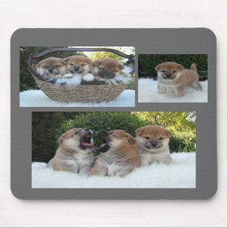 Mousepad