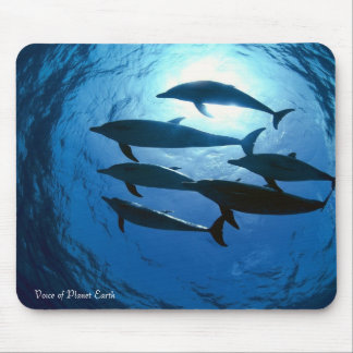 Mousepad 14 - Dolphins