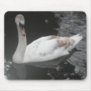 Mousepad Baby Swan Swimming