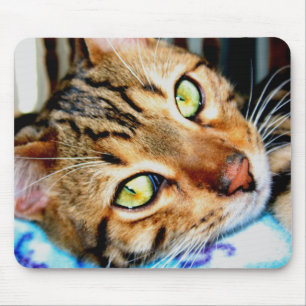 Mousepad Bengal Cat