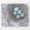 Mousepad Bird's Nest with Eggs Photography