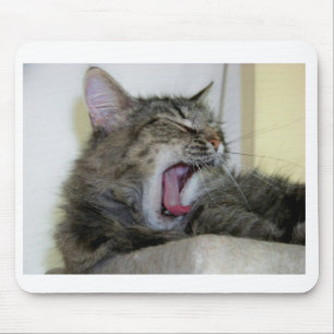 Mousepad Cat