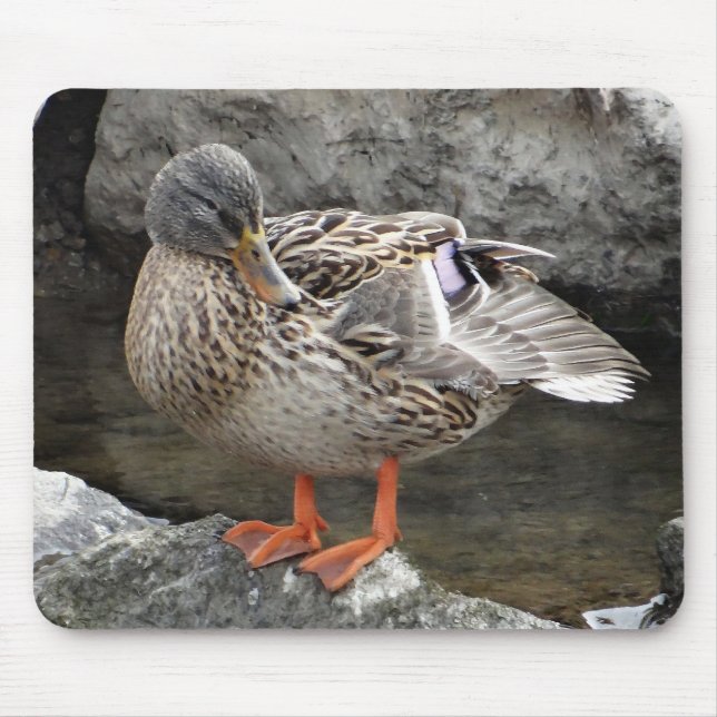 Mousepad cute brown duck between grey rocks (Front)
