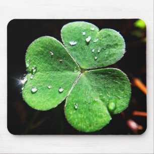 Mousepad grünes Kleeblatt mit Wassertropfen