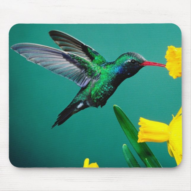 Mousepad-Hummingbird Mouse Pad (Front)