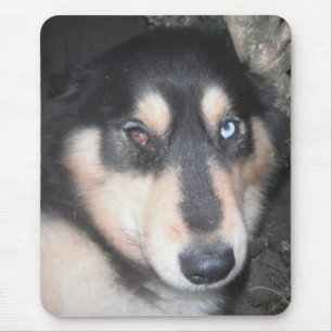 Mousepad Husky One Blue Eye One Brown Eye