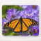 Mousepad Monarch Butterfly on Purple Asters
