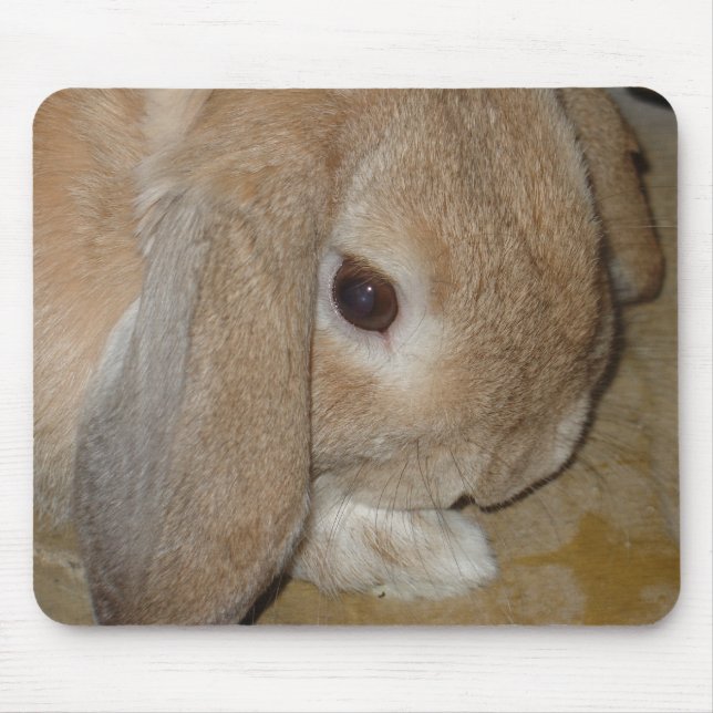 Mousepad or Mousemat - Lop Eared Dwarf Rabbit (Front)