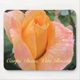 Mousepad--Orange Rose With Raindrops Mouse Pad