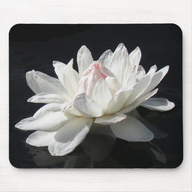 Mousepad, Paper White Water Lily Mouse Pad (Front)