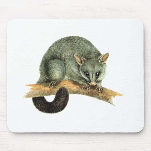 Mousepad - Possum (Front)