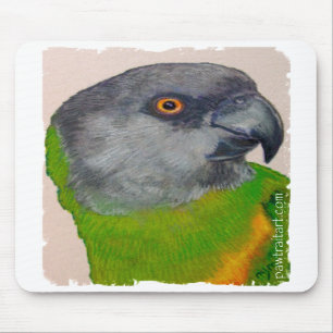 Mousepad - Senegal Parrot