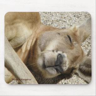 Mousepad Sleeping Kangaroo Photo Australia