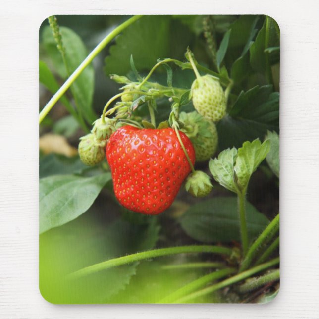 Mousepad-Strawberry Mouse Pad (Front)