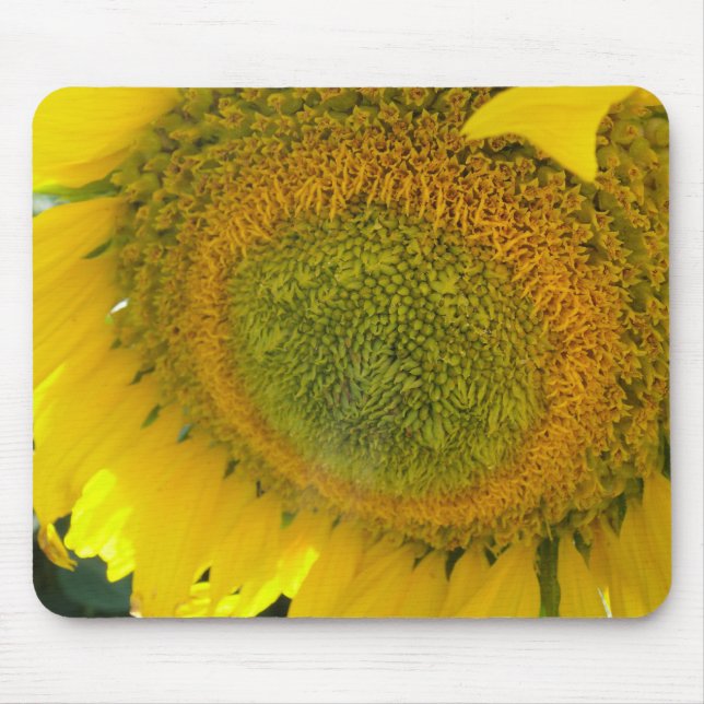 Mousepad: Sunflower bloom Mouse Pad (Front)