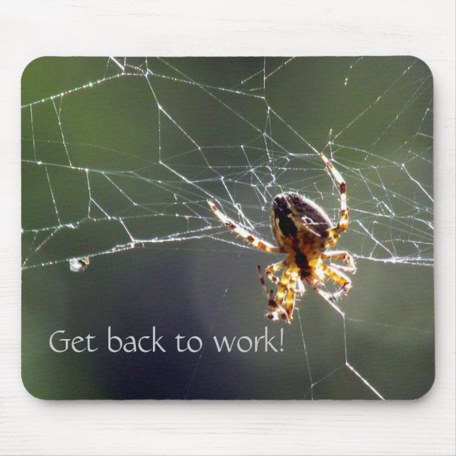 Mousepad - Sunlit spider (Front)