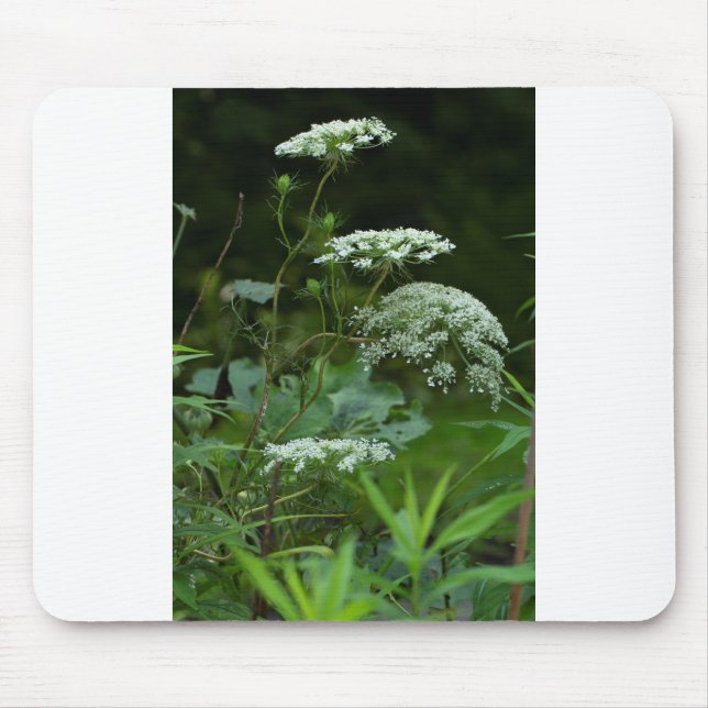 mousepad template (Front)