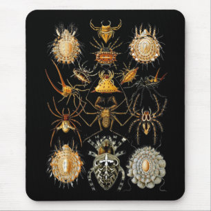 Mousepad Vintage Artist Ernst Haeckel Arachnida