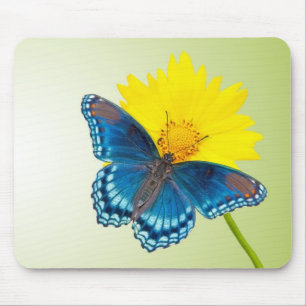 Mousepad with a butterfly and a flower
