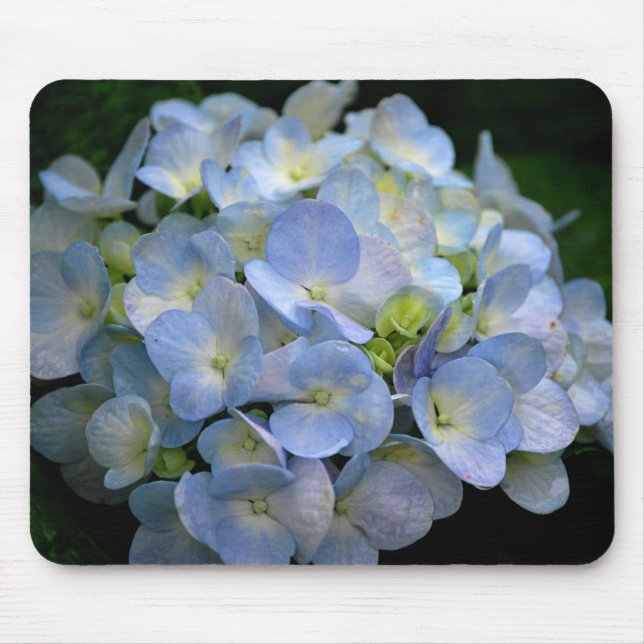 Mousepad with blue hydrangea flowers (Front)