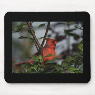 Mousepad with Cardinal!
