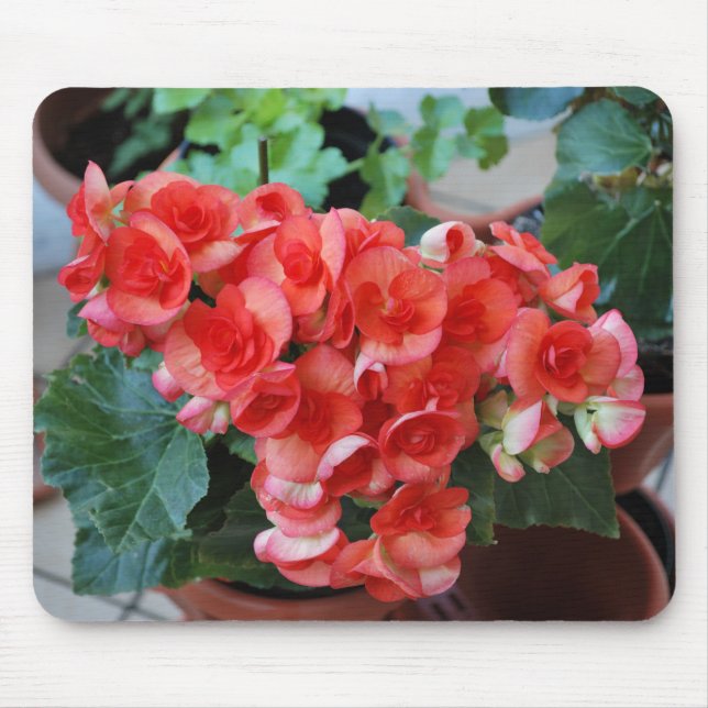 Mousepad with Flowers (Front)