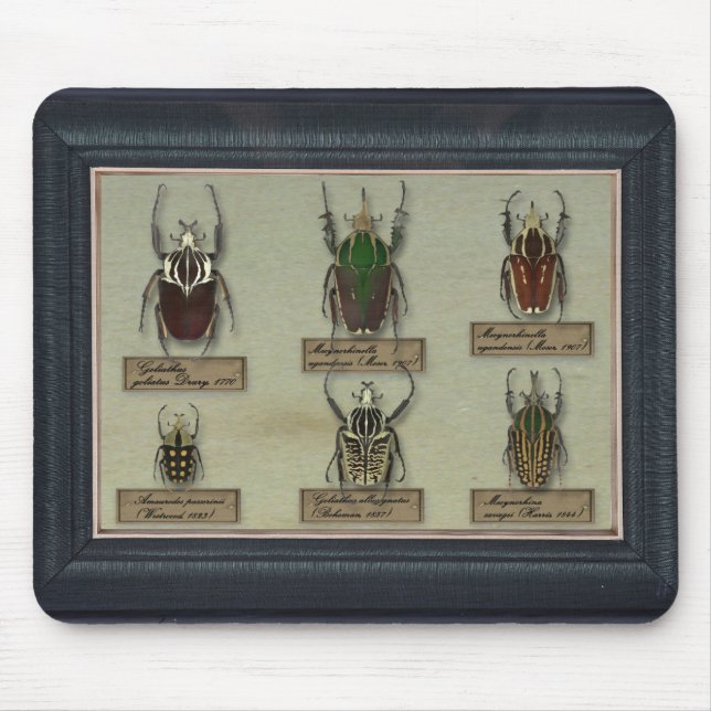 Mousepad with Goliath beetles (Front)