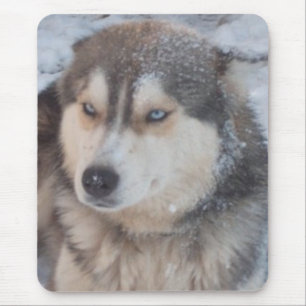 Mousepad With Husky
