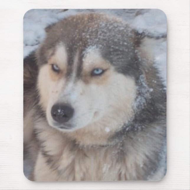 Mousepad With Husky (Front)