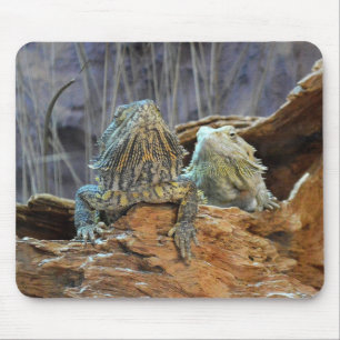 Mousepad with two curious lizards