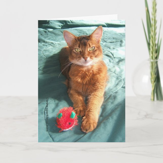 Mousey Catmas Christmas Card (Front)