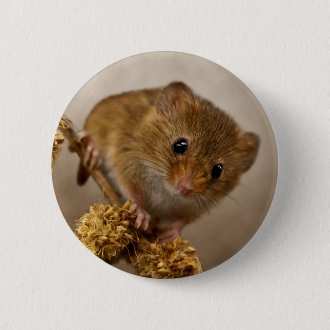 Mousie Badge 2 Inch Round Button (Front)