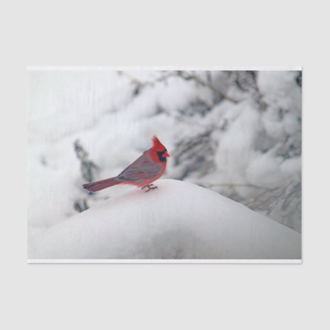 Mousseline Cardinal 6239 Papier Tissu (Recto)