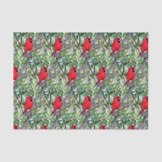 Mousseline Cardinal dans un citron 2 - Papier Tissu (Recto)