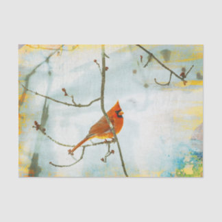 Mousseline Cardinal Watercolor Papier Tissu