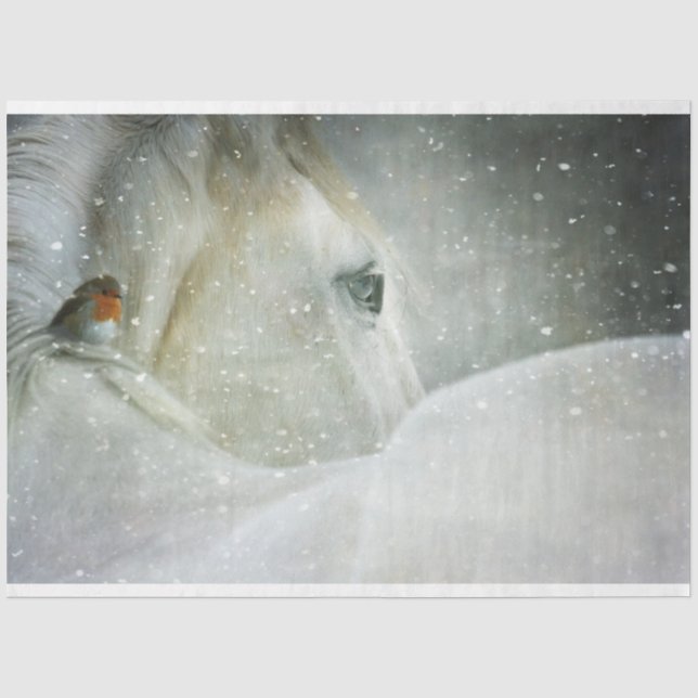 Mousseline cheval en papier de tissu hivernal (Recto)