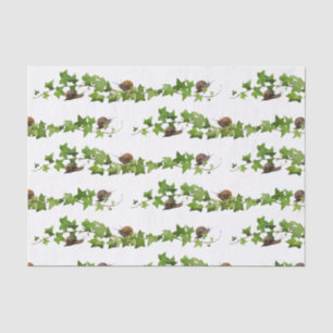 Mousseline Escargots dans le papier de tissus ivoirien